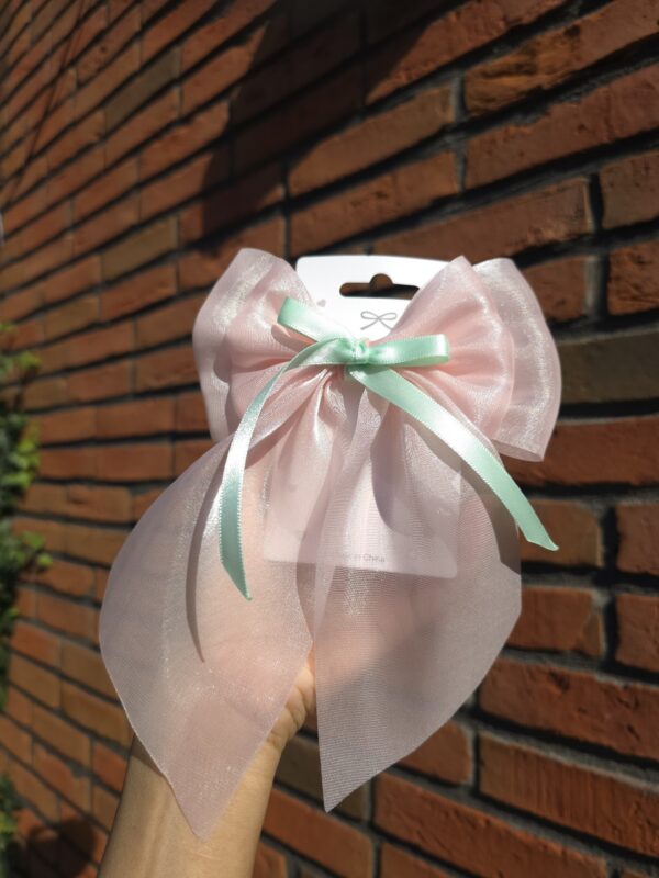 Sheer Pink Bow with Mint bow ,hairclip