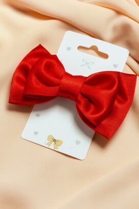 Red silk bow clip